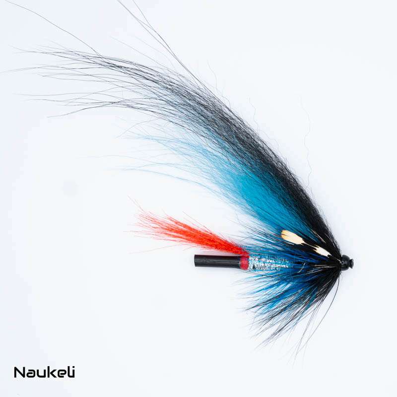 Naukeli Alta Black Blue 1