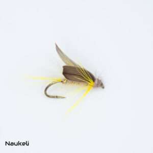 Light Olive Flymph 1