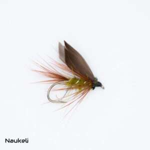 Naukeli Dark Olive 1