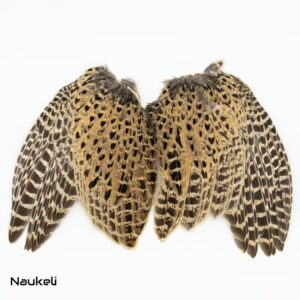 Ringneck Pheasant Hen Wing Set