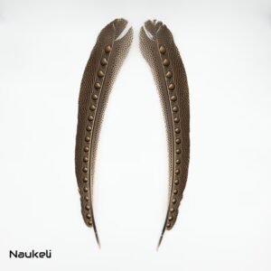 Great Argus Feathers Pair