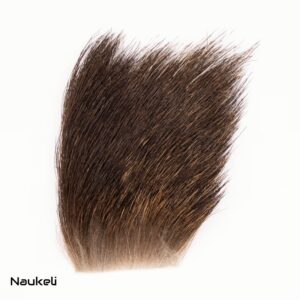 European Mouflon Ram Back Hair