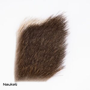 European Mouflon Ram Rump Hair