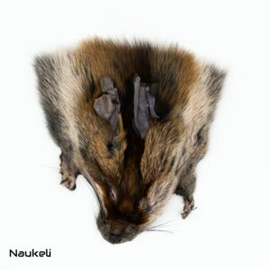 Red Fox Mask Dyed Underfur Black