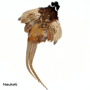 Ringneck Pheasant Cock Complete Skin-1