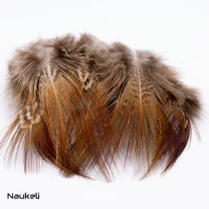 Ringneck Rump Feathers - Natural