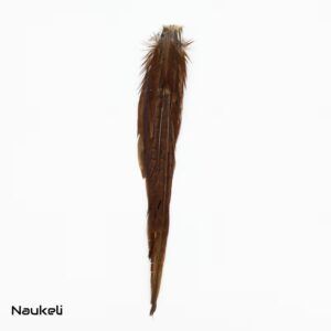 Ringneck Pheasant Tail Complete Small - Natural