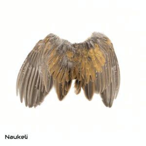 Ringneck Wing Set - Natural Golden & Grey
