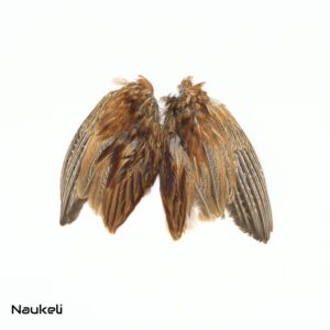 Ringneck Wing Set - Natural Brown & Grey