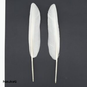 Swan Feathers Pair