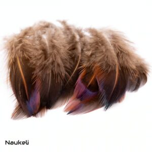 Ringneck Dark Belly Feathers - Natural