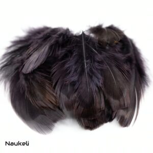 Ringneck Belly Feathers - Fluid Black
