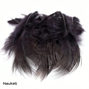 Ringneck Rump Feathers - Fluid Black