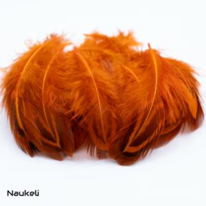 Ringneck Shoulder Feathers - Fluid Orange