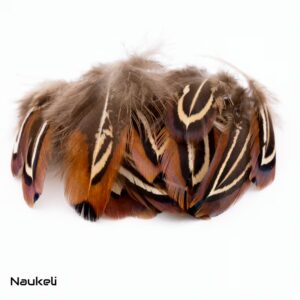 Ringneck Shoulder Feathers - Natural