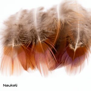 Ringneck Side Rump Feathers - Natural