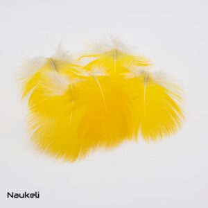 Blue and Yellow Macaw Body Feathers - Yellow