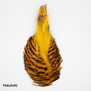 Golden Pheasant Complete Head - Grade A