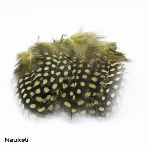 Guinea fowl Feathers - Olive Green