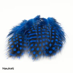 Guinea fowl Feathers - Sapphire Blue