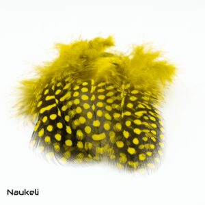 Guinea fowl Feathers - Yellow