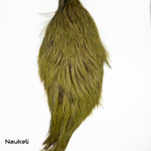 Rooster Cape - Badger Olive Green