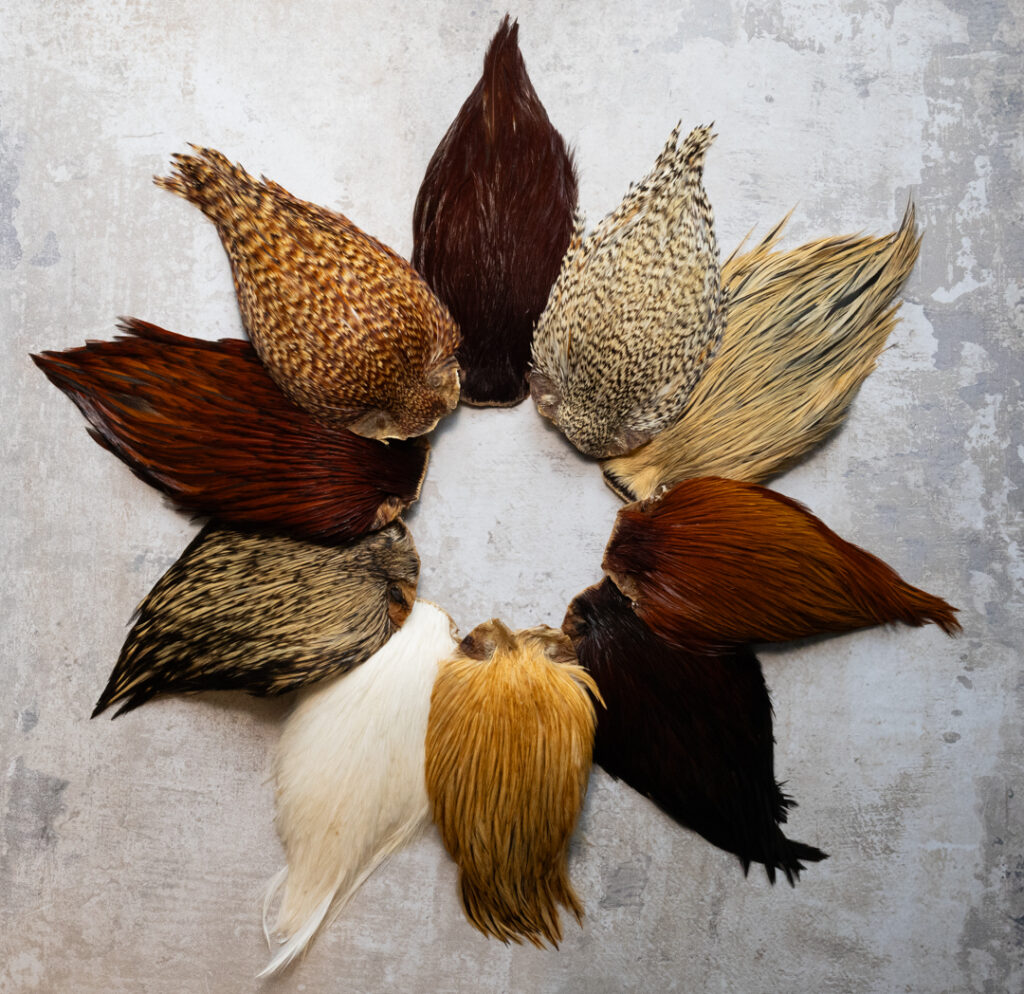 Indian Rooster Capes – 10 Natural Colors