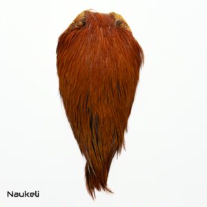 Indian Rooster Cape - Natural Ginger