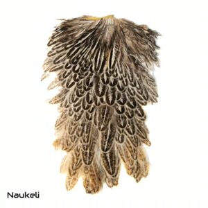 Indian Hen Saddle - Natural Creme Speckled