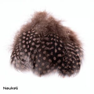 Guinea fowl Feathers - Brown