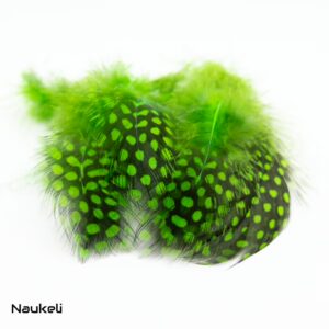 Guinea fowl Feathers - Neon Green