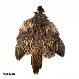 Koklass Pheasant Hen - Skin