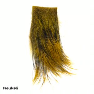 Wild Boar - Golden Yellow