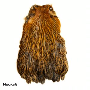 Indian Hen Cape Max - Natural Greenwell