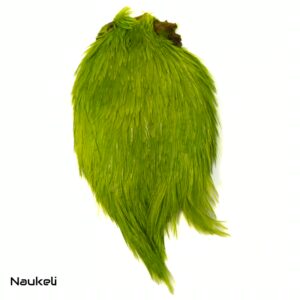 Rooster Cape UV - Green Chartreuse