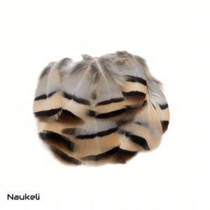 Chukar Partridge - Flank Feathers