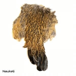 Indian Hen Saddle - Natural Greenwell