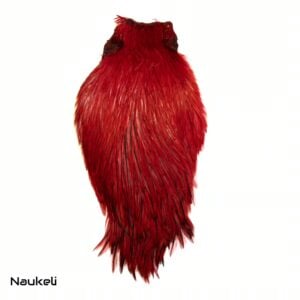 Rooster Cape - Badger Oxblood Red