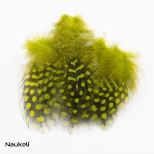 Guinea fowl Feathers - Light Olive