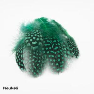 Guinea fowl Feathers - Mint Green