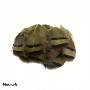 Chukar Partridge - Flank Feathers Dark Olive