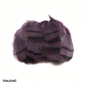 Chukar Partridge - Flank Feathers Dark Purple