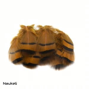 Chukar Partridge - Flank Feathers Golden Brown