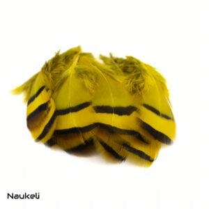 Chukar Partridge - Flank Feathers Golden Olive