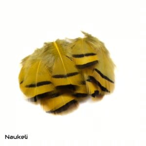 Chukar Partridge - Flank Feathers Golden