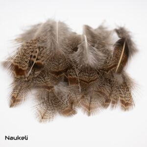 Grey Partridge - Body Feathers