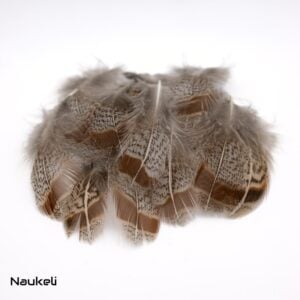 Grey Partridge - Flank Feathers