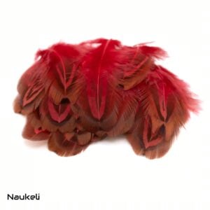 Ringneck Shoulder Feathers - Fluid Red