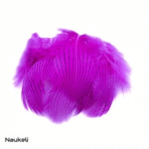 Silver Pheasant - Body Feathers Orange 3 Silver Pheasant - Body Feathers Magenta