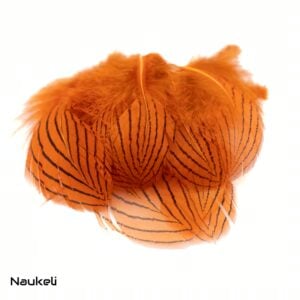 Silver Pheasant - Body Feathers Orange